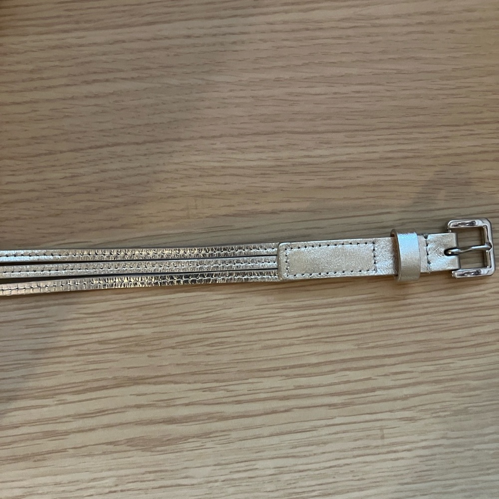 J.Crew Silver Triple Strand Belt